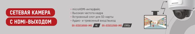 Сетевая камера с HDMI выходом